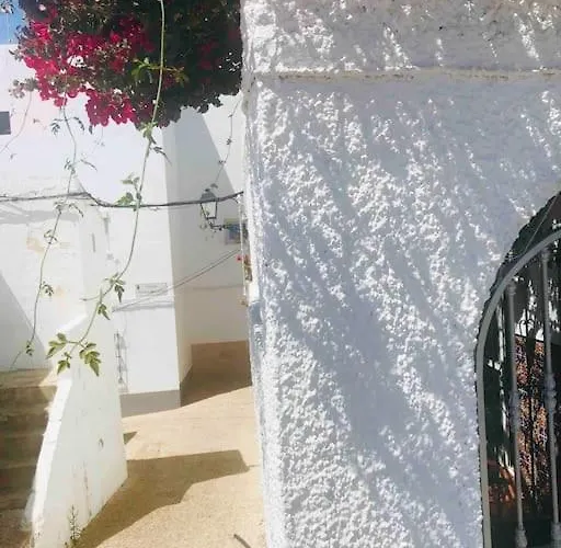 Mivida Daire Conil De La Frontera